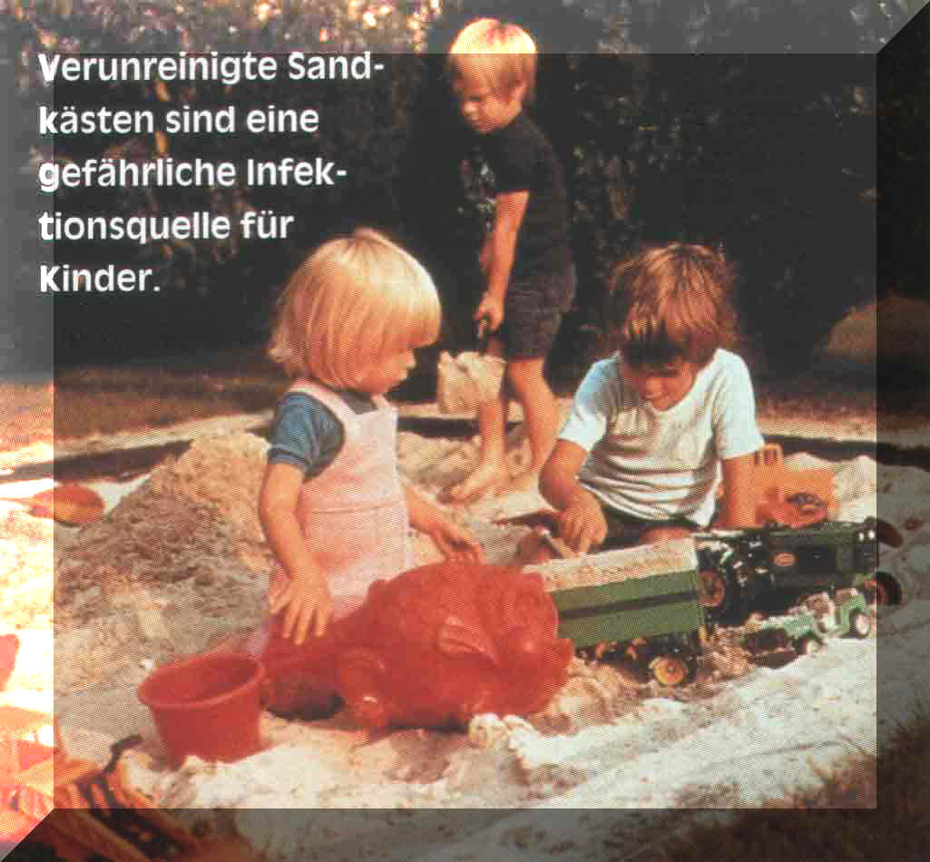 Verunreinigte Sandksten - eine Infektionsquelle !